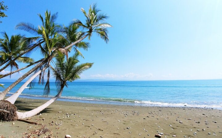 Beaches