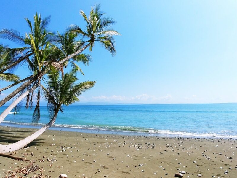 Beaches